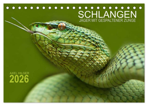 SCHLANGEN. JÄGER MIT GESPALTENER ZUNGE (Tischkalender 2026 DIN A5 quer), CALVENDO Monatskalender