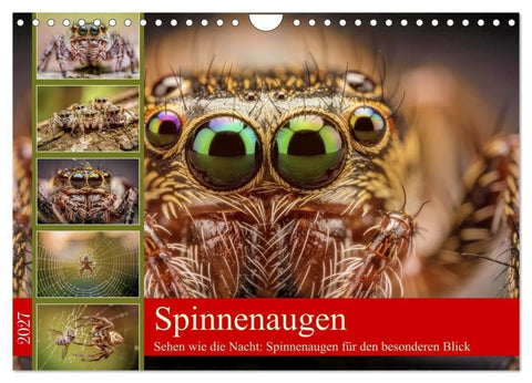 Spinnenaugen (Wandkalender 2027 DIN A4 quer), CALVENDO Monatskalender