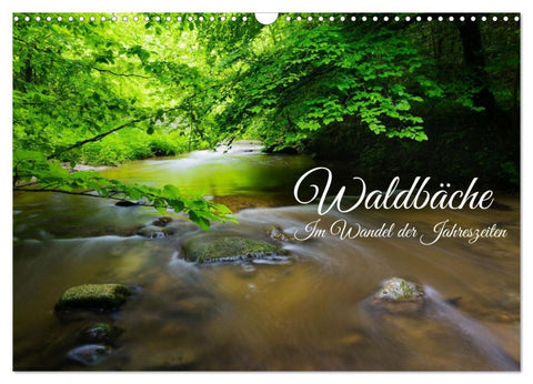 Waldbäche - Im Wandel der Jahreszeiten (Wandkalender 2027 DIN A3 quer), CALVENDO Monatskalender