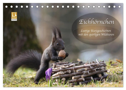 Eichhörnchen - Lustige Kurzgeschichten mit den quirligen Wildtieren (Tischkalender 2027 DIN A5 quer), CALVENDO Monatskalender