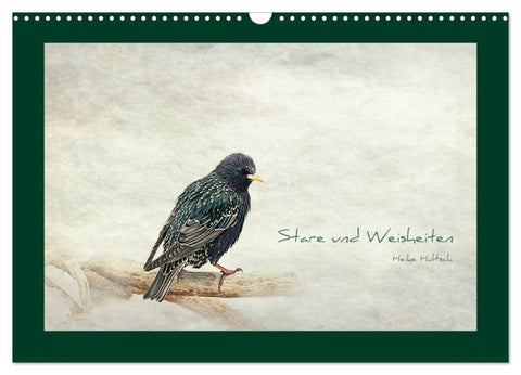 Stare und Weisheiten (Wandkalender 2027 DIN A3 quer), CALVENDO Monatskalender