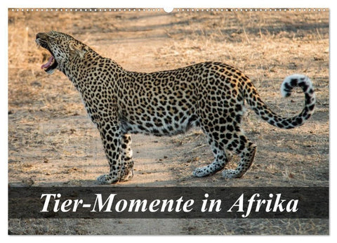 Tier-Momente in Afrika (Wandkalender 2027 DIN A2 quer), CALVENDO Monatskalender