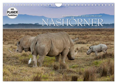 Emotionale Momente: Nashörner (Wandkalender 2026 DIN A4 quer), CALVENDO Monatskalender