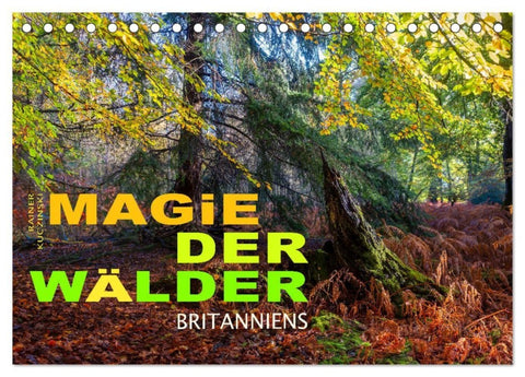 Magie der Wälder Britanniens (Tischkalender 2027 DIN A5 quer), CALVENDO Monatskalender