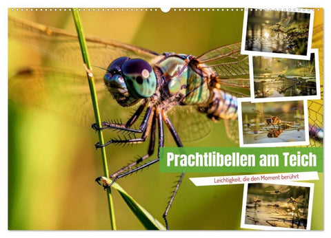 Prachtlibellen am Teich (Wandkalender 2027 DIN A2 quer), CALVENDO Monatskalender