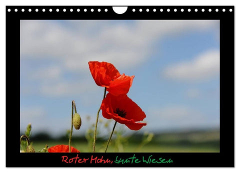 Roter Mohn, bunte Wiesen (Wandkalender 2027 DIN A4 quer), CALVENDO Monatskalender