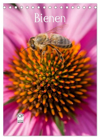 Bienenkalender (Tischkalender 2027 DIN A5 hoch), CALVENDO Monatskalender