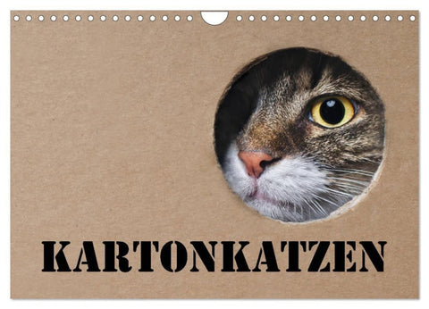 Karton Katzen (Wandkalender 2027 DIN A4 quer), CALVENDO Monatskalender