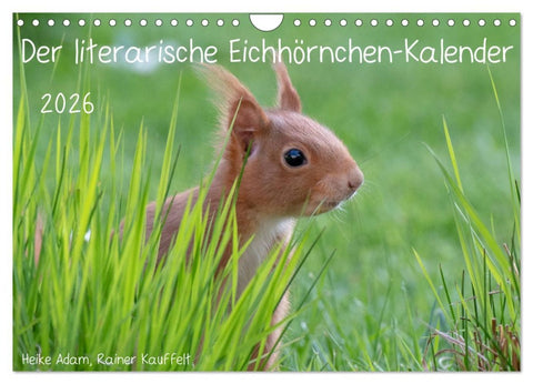Der literarische Eichhörnchen-Kalender (Wandkalender 2026 DIN A4 quer), CALVENDO Monatskalender