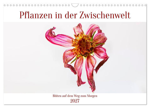 Pflanzen in der Zwischenwelt (Wandkalender 2027 DIN A3 quer), CALVENDO Monatskalender