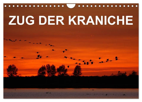 Zug der Kraniche (Wandkalender 2026 DIN A4 quer), CALVENDO Monatskalender