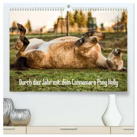 Durch das Jahr mit dem Connemara Pony Holly (hochwertiger Premium Wandkalender 2027 DIN A2 quer), Kunstdruck in Hochglanz
