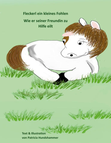 Fleckerl ein kleines Fohlen