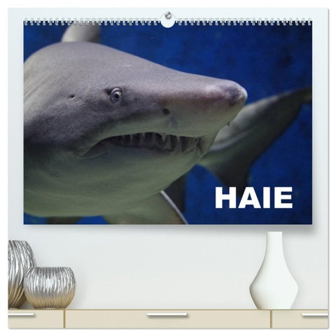 Haie (hochwertiger Premium Wandkalender 2026 DIN A2 quer), Kunstdruck in Hochglanz