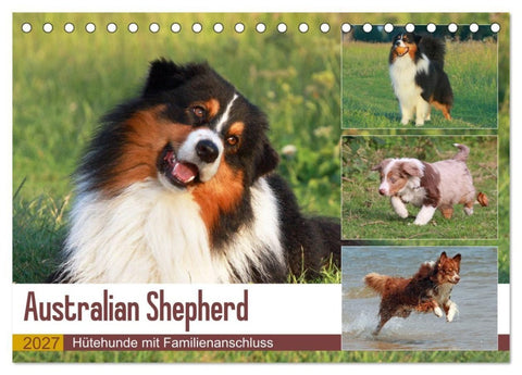 Australian Shepherd - Hütehunde mit Familienanschluss (Tischkalender 2027 DIN A5 quer), CALVENDO Monatskalender