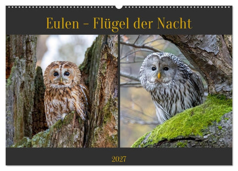 Eulen - Flügel der Nacht (Wandkalender 2027 DIN A2 quer), CALVENDO Monatskalender