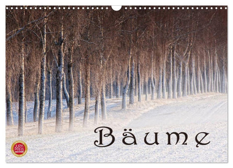 Bäume (Wandkalender 2027 DIN A3 quer), CALVENDO Monatskalender