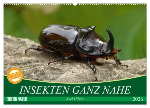 INSEKTEN GANZ NAHE (Wandkalender 2026 DIN A2 quer), CALVENDO Monatskalender