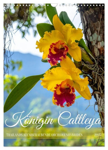 Königin Cattleya (Wandkalender 2027 DIN A3 hoch), CALVENDO Monatskalender