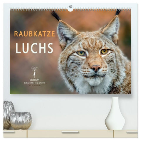 Raubkatze Luchs (hochwertiger Premium Wandkalender 2026 DIN A2 quer), Kunstdruck in Hochglanz