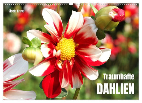 Traumhafte Dahlien (Wandkalender 2027 DIN A2 quer), CALVENDO Monatskalender