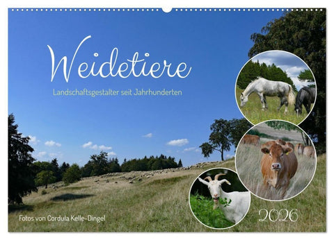 Weidetiere - Landschaftsgestalter seit Jahrhunderten (Wandkalender 2026 DIN A2 quer), CALVENDO Monatskalender