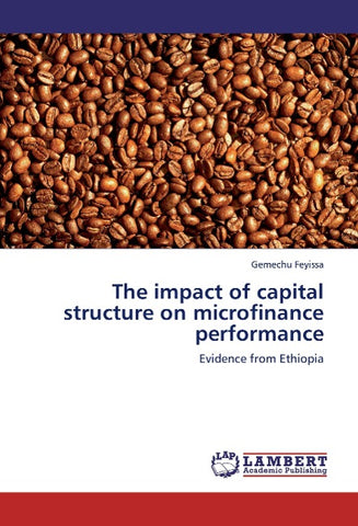 The impact of capital structure on microfinance performance