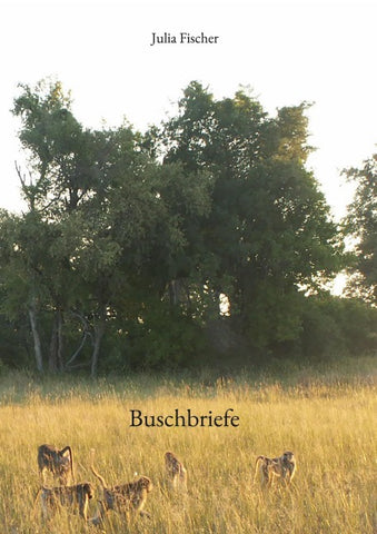 Buschbriefe