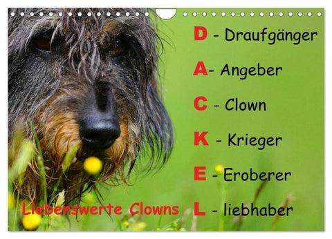 Liebenswerte Clowns (Wandkalender 2027 DIN A4 quer), CALVENDO Monatskalender