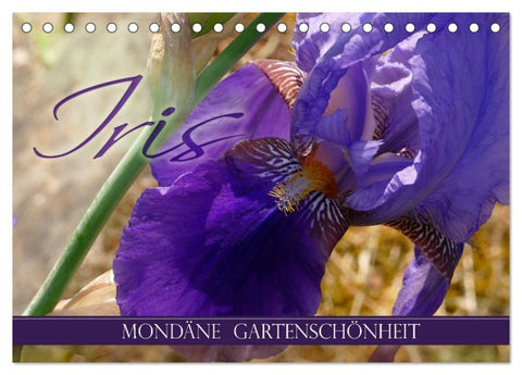 Iris - mondäne Gartenschönheit (Tischkalender 2027 DIN A5 quer), CALVENDO Monatskalender