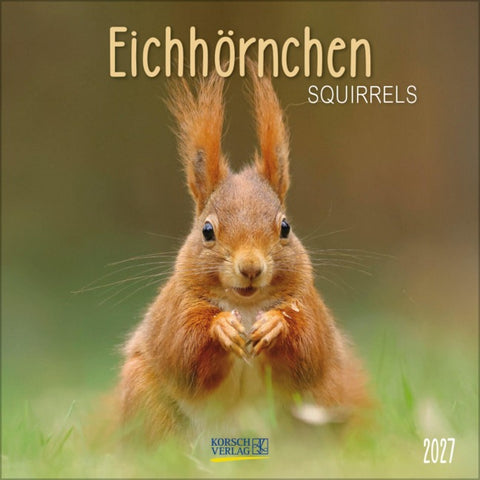 Eichhörnchen 2027