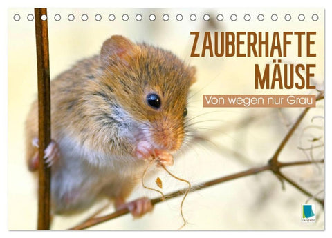 Zauberhafte Mäuse: Von wegen nur Grau (Tischkalender 2027 DIN A5 quer), CALVENDO Monatskalender