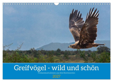 Greifvögel - wild und schön (Wandkalender 2027 DIN A3 quer), CALVENDO Monatskalender
