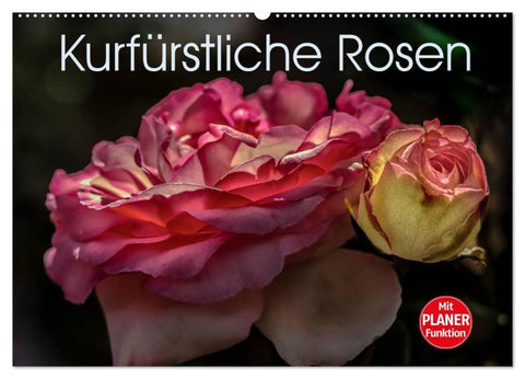 Kurfürstliche Rosen Eltville am Rhein (Wandkalender 2027 DIN A2 quer), CALVENDO Monatskalender