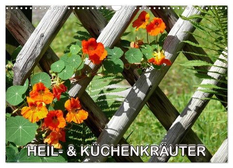 Heil- und Küchenkräuter (Wandkalender 2027 DIN A3 quer), CALVENDO Monatskalender
