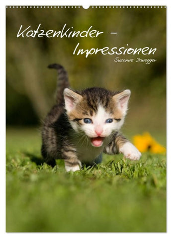 Katzenkinder - Impressionen (Wandkalender 2026 DIN A2 hoch), CALVENDO Monatskalender