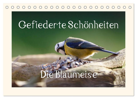 Gefiederte Schönheiten - Die Blaumeise (Tischkalender 2026 DIN A5 quer), CALVENDO Monatskalender