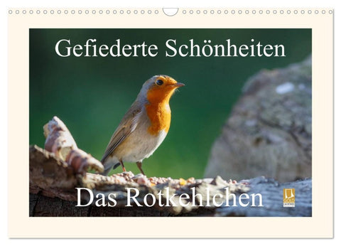 Gefiederte Schönheiten - Das Rotkehlchen (Wandkalender 2026 DIN A3 quer), CALVENDO Monatskalender