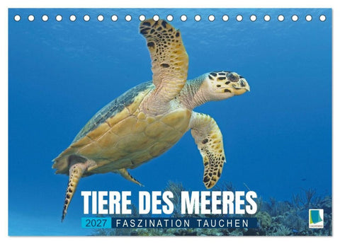 Tiere des Meeres: Faszination Tauchen (Tischkalender 2027 DIN A5 quer), CALVENDO Monatskalender