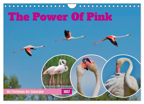 The Power Of Pink (Wandkalender 2027 DIN A4 quer), CALVENDO Monatskalender