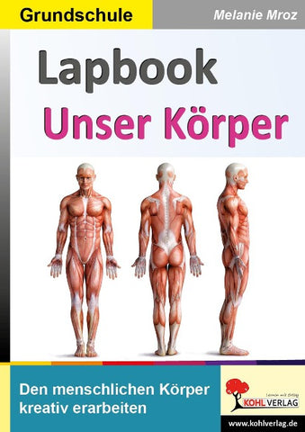 Lapbook Unser Körper