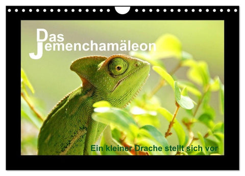 Das Jemenchamäleon (Wandkalender 2027 DIN A4 quer), CALVENDO Monatskalender