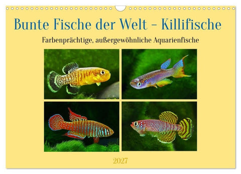 Bunte Fische der Welt - Killifische (Wandkalender 2027 DIN A3 quer), CALVENDO Monatskalender