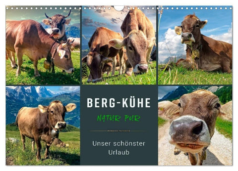 Berg-Kühe, Natur pur - unser schönster Urlaub (Wandkalender 2027 DIN A3 quer), CALVENDO Monatskalender