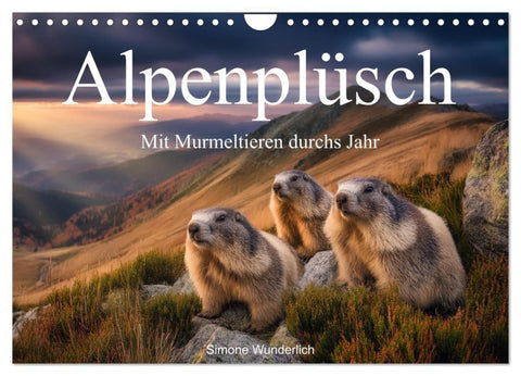 Alpenplüsch - Mit Murmeltieren durchs Jahr (Wandkalender 2027 DIN A4 quer), CALVENDO Monatskalender