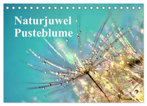 Naturjuwel Pusteblume (Tischkalender 2026 DIN A5 quer), CALVENDO Monatskalender