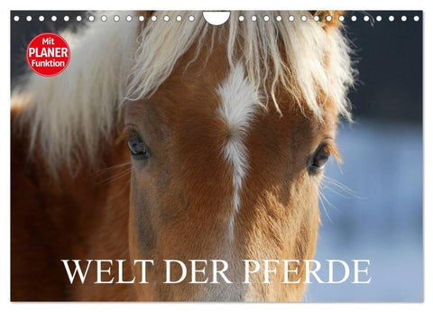 Welt der Pferde (Wandkalender 2026 DIN A4 quer), CALVENDO Monatskalender