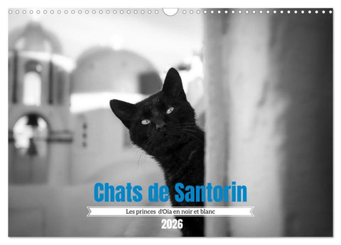 Chats de Santorin - Les princes d'Oia en noir et blanc (Calendrier mural 2026 DIN A3 vertical), CALVENDO calendrier mensuel