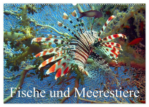 Fische und Meerestiere (Wandkalender 2026 DIN A2 quer), CALVENDO Monatskalender