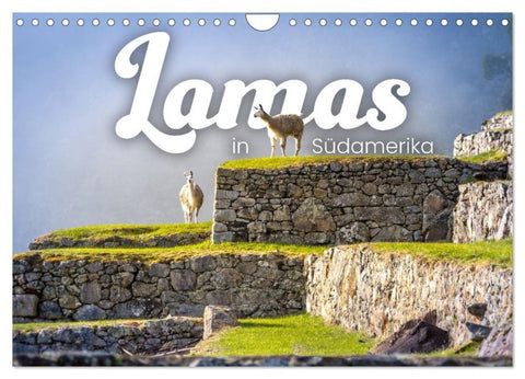 Lamas in Südamerika (Wandkalender 2027 DIN A4 quer), CALVENDO Monatskalender